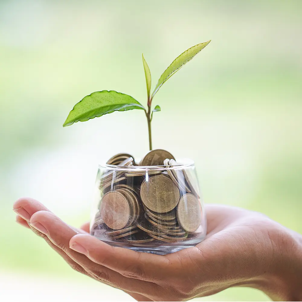 money growth